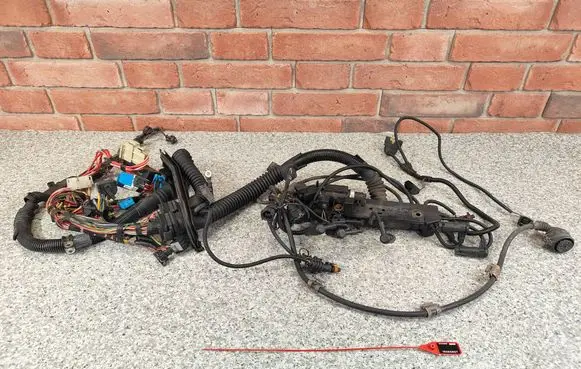BMW 5 E39 Engine installation wiring loom 7786189