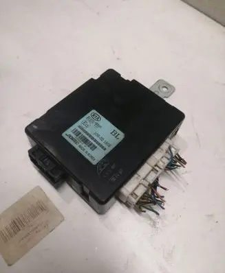 KIA Sorento Other control units/modules 954003E310