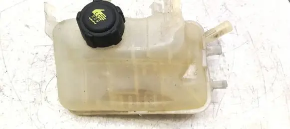 Renault Scenic III - Grand scenic III Coolant expansion tank/reservoir 217100005R