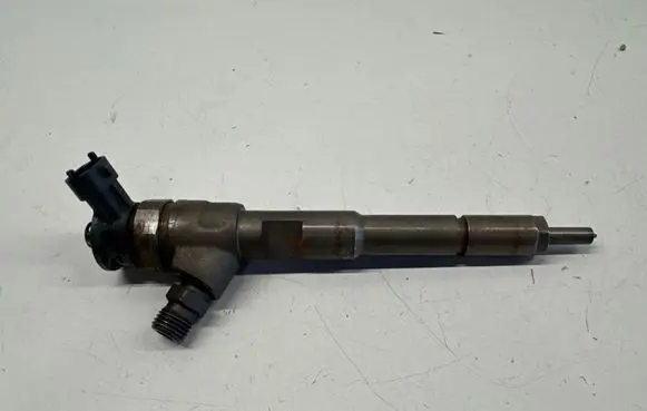Renault Kangoo II Fuel injector 0445110485