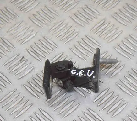 Rear door lower hinge