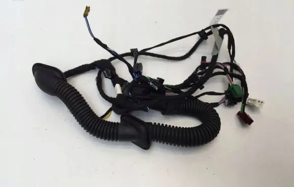 Rear door wiring loom