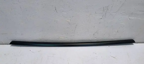Tesla Model Y Rear door trim (molding) 1621169-00-C