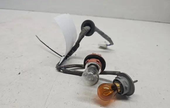 Hyundai Santa Fe Tail light bulb cover holder 
