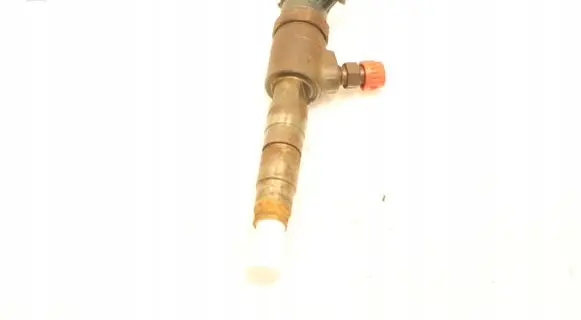 Peugeot Partner Fuel injector
