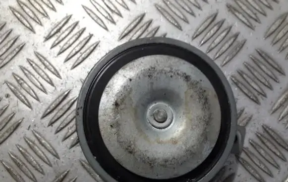Mitsubishi Carisma Horn signal e10020011 002952