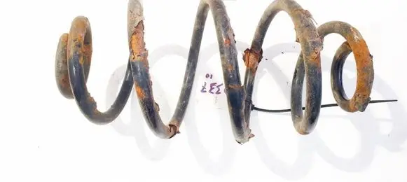 Rear coil spring