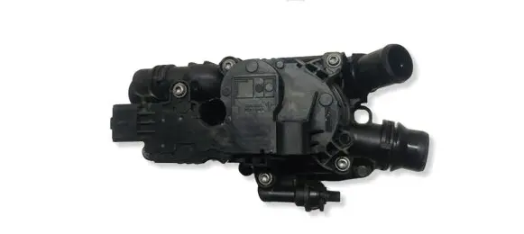 Citroen Berlingo Thermostat/thermostat housing 1102639S01