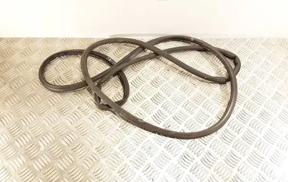 Volvo S60 Rubber seal rear door 31479117