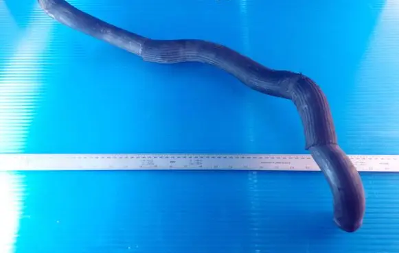 Volvo XC90 Engine coolant pipe/hose 0864974300
