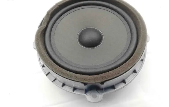Front door speaker