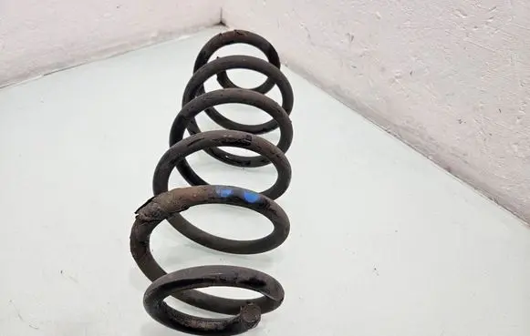 Rear coil spring