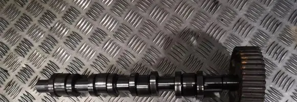 Volkswagen PASSAT B6 Camshaft 038109111e