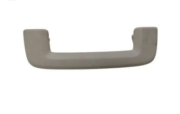 Ford Focus Front interior roof grab handle