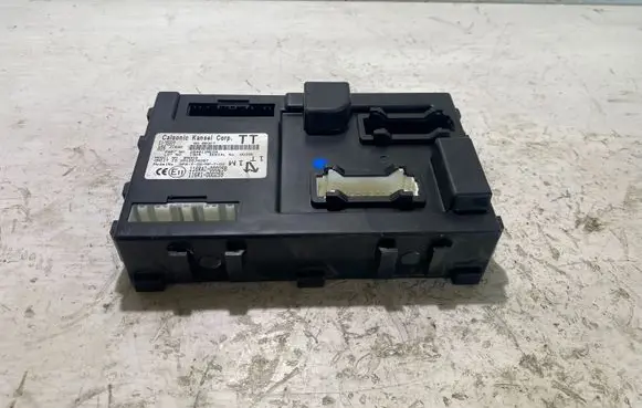 Nissan Leaf I (ZE0) Other control units/modules 116RAI000258 284B13NE0A 116RI000259