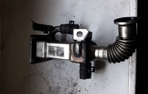 Renault Scenic II - Grand scenic II EGR valve cooler