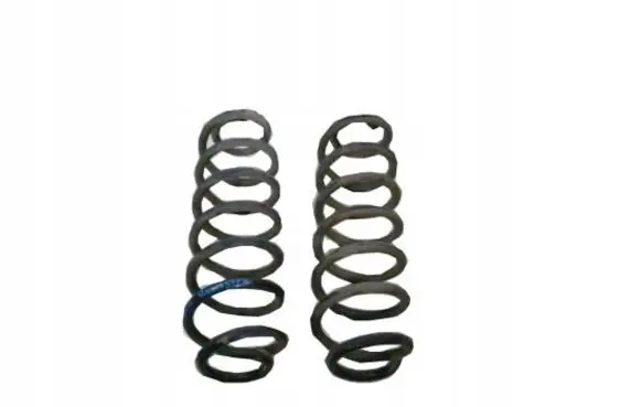 Skoda Roomster (5J) Rear coil spring