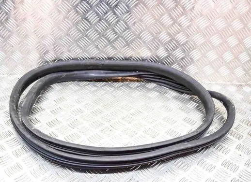 Renault Zoe Rubber seal rear door 