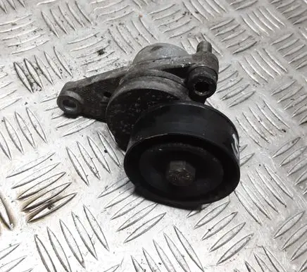 Citroen C3 Generator/alternator belt tensioner E5025A110550D