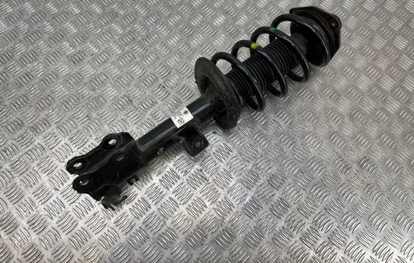 Fisker Ocean Front shock absorber with coil spring FM2920200079B