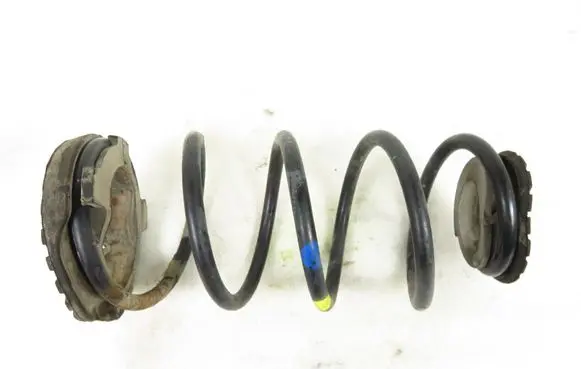Fiat Punto (199) Rear coil spring