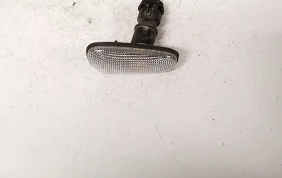 Front fender indicator light
