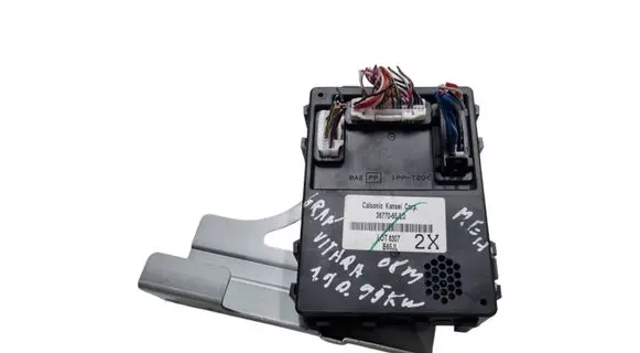 Suzuki Grand Vitara II Other control units/modules 3677065JL0