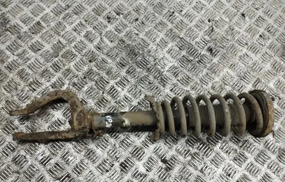 Honda Accord Front shock absorber with coil spring