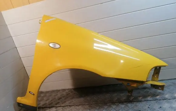 Fiat Punto (176) Fender