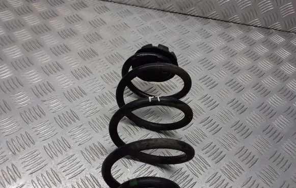 Renault Modus Rear coil spring