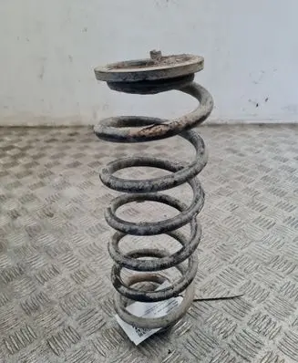 Volkswagen PASSAT B6 Rear coil spring