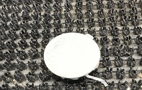 Front tow hook cap/cover