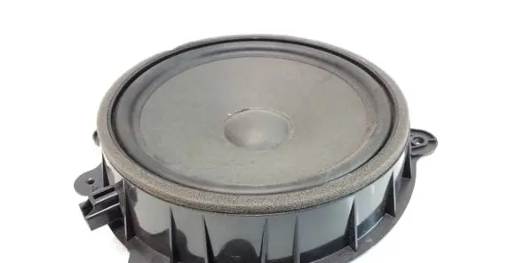Tesla Model 3 Front door speaker 107974400E 0612181615A 430407772455