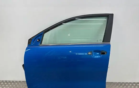KIA Rio Front door 