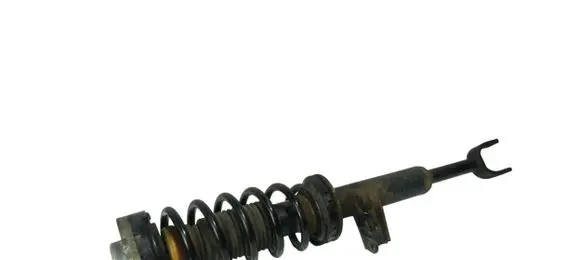 Front shock absorber with coil spring