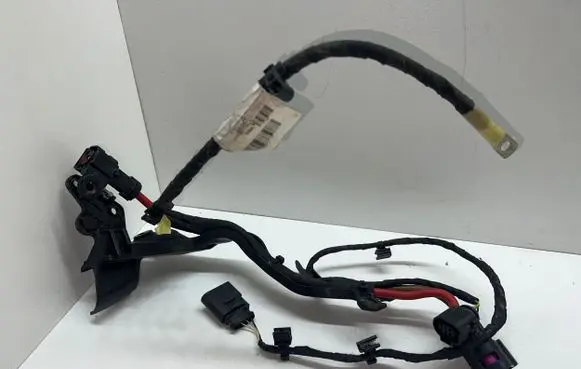 Audi A8 S8 D4 4H Other wiring loom 4H0971111E 1J0973824