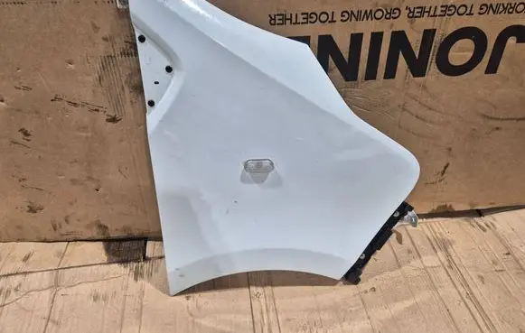 Renault Master III Fender