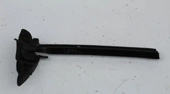 BMW Z4 E89 Rubber seal sliding door (on door) 7046124