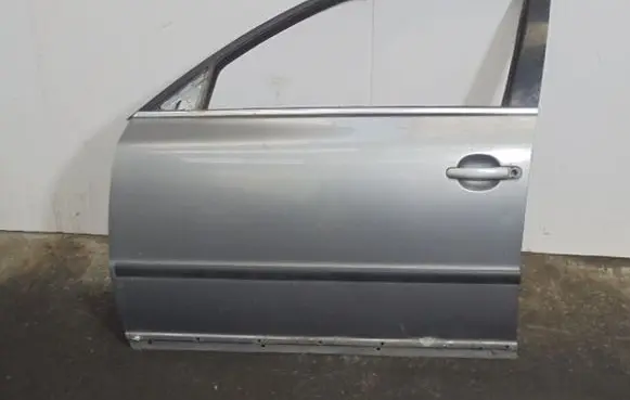 Volkswagen PASSAT B5.5 Front door 