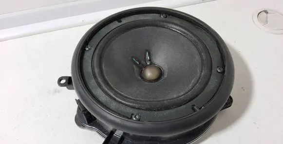Rear door speaker