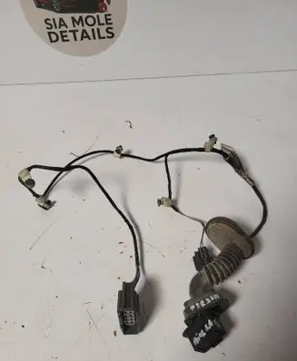 Rear door wiring loom