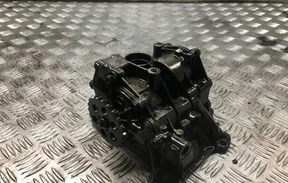 BMW X1 F48 F49 Oil pump 851375608