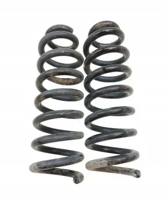 Mercedes-Benz C W205 Rear coil spring 