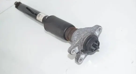 BMW 3 G20 G21 Rear shock absorber/damper 6879317 33506889267 6889267