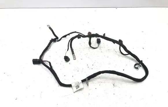Volkswagen Tiguan Wires (generator/alternator) 5R3971230EC