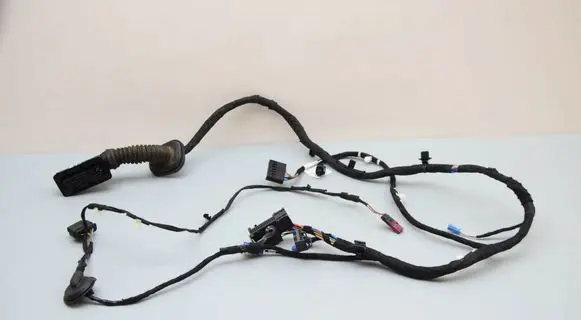 BMW X1 U11 Front door wiring loom 5B32194