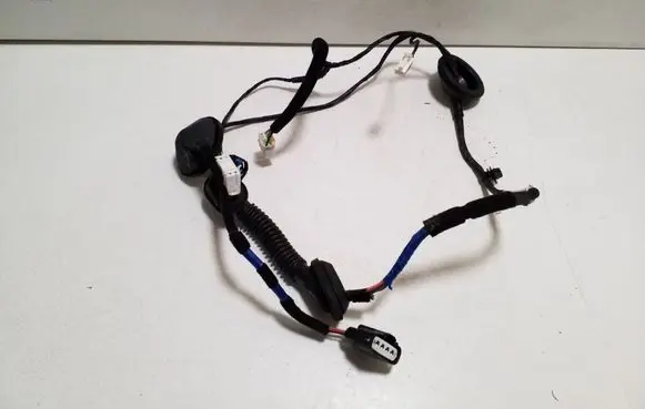 KIA Soul Rear door wiring loom 91660B2051