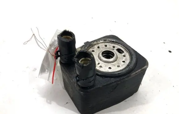 Skoda Superb B6 (3T) Engine oil radiator 038117021D
