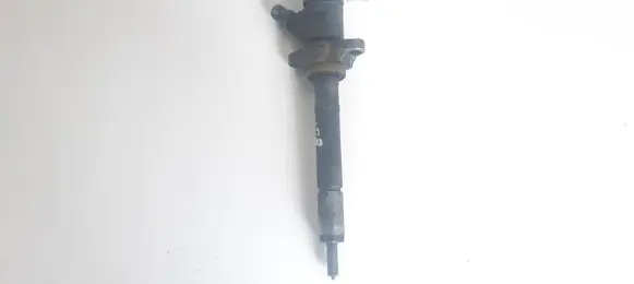 Citroen C4 I Fuel injector 0445110297