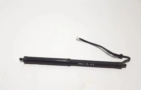 Tailgate strut